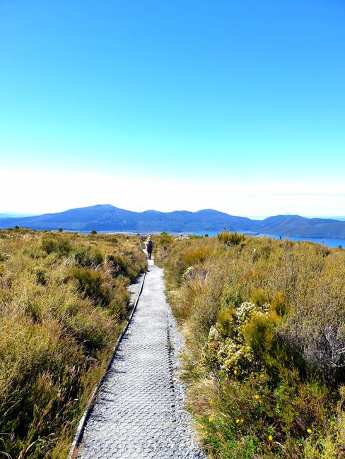 Abstieg des Tongariro Alpine Crossing