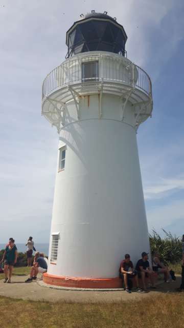 The easternmost lighthouse in the world in Gisborne (800 steps)