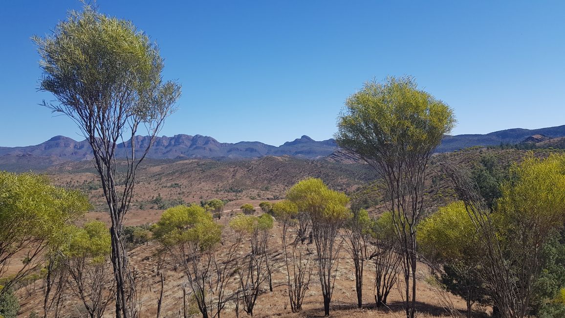 16.3.2023 from Marree to Flinders Ranges NP