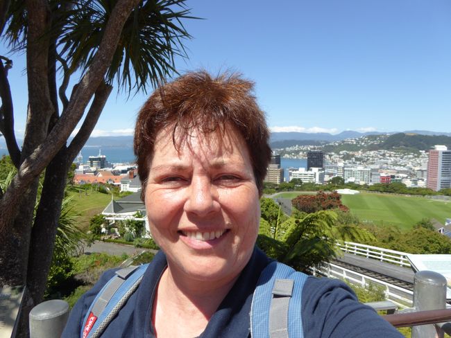 Day 18 - New Year's Day in Wellington