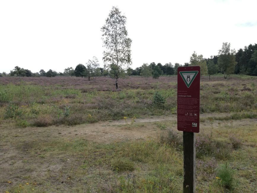 ¡Bienvenido a la heide! La primera área de heide