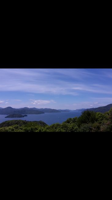 皮克顿 - 嗅探小径