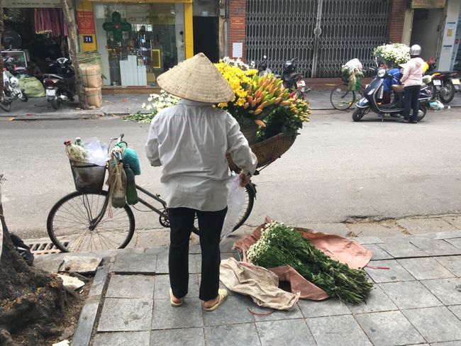 Streets of Hanoi