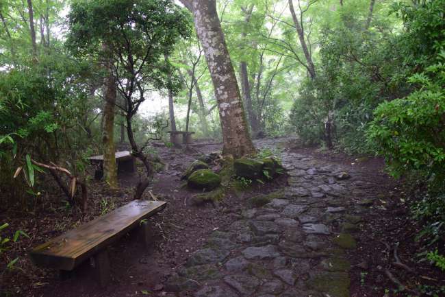 Old Tokaido - Wanderung