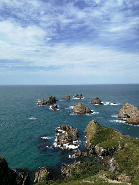 Nugget Point 