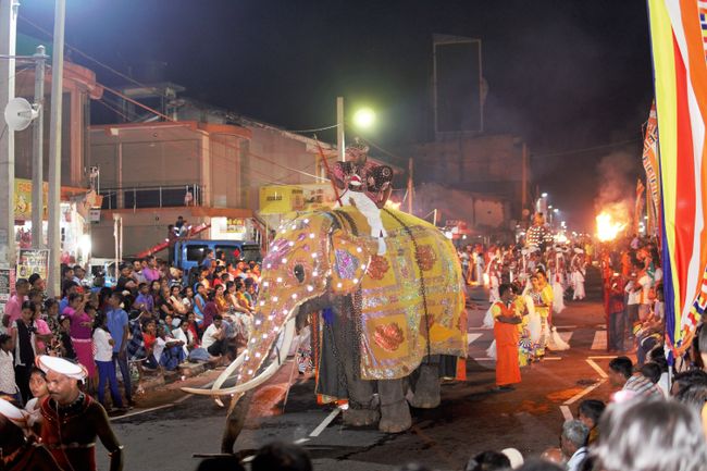 The first elephant of the procession