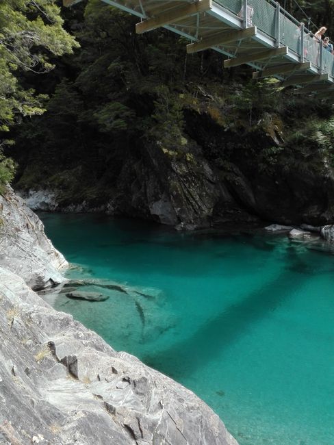 Wanaka in Otago- die schönste Region Neuseelands