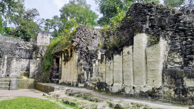 Auf den Spuren der Maya in Tikal