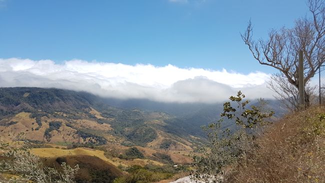 From Monteverde to Tamarindo Pacific Coast