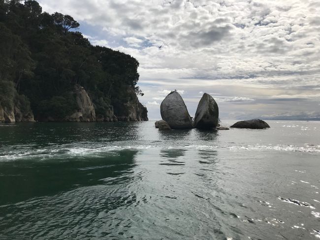 Abel Tasman Nationalpark - Weihnachten auf dem Meer und Halbzeit der Reise