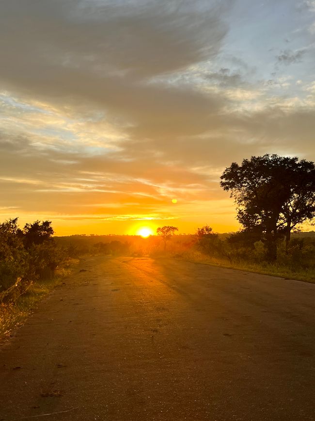 Sonnenaufgang im Kruger Nationalpark