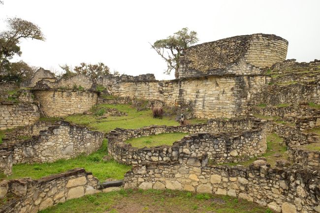 Kuelap - Fortress of the Chachapoya