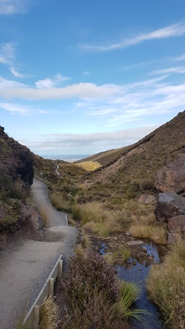 Tag 90-91 Tongariro Nationalpark