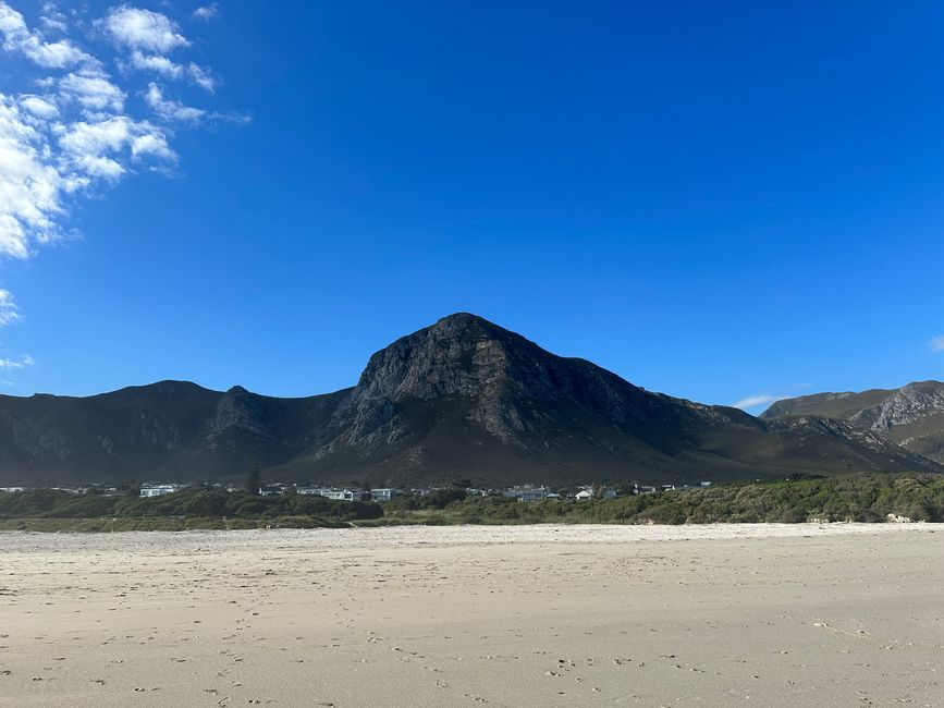 Hermanus ♥️