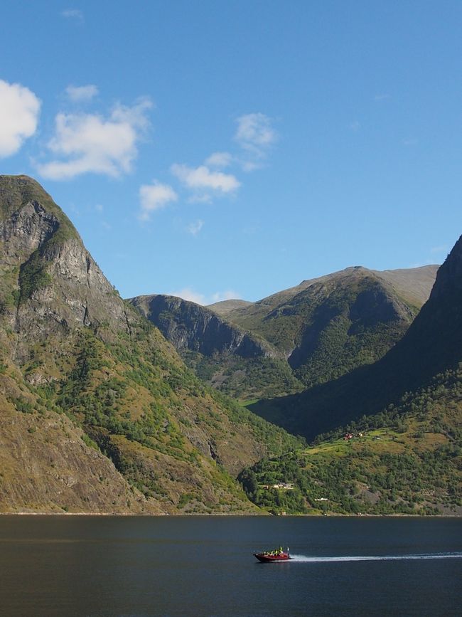 Nærøyfjord, Sognefjord, Aurlandsfjord and onwards to Voss