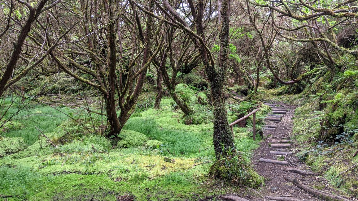 Tag 6: Wandern & Baden auf Terceira