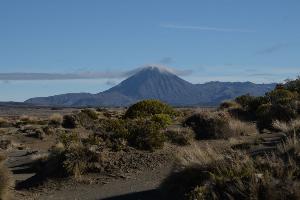 Ab durch die Mitte: Mt.Ngauruhoe