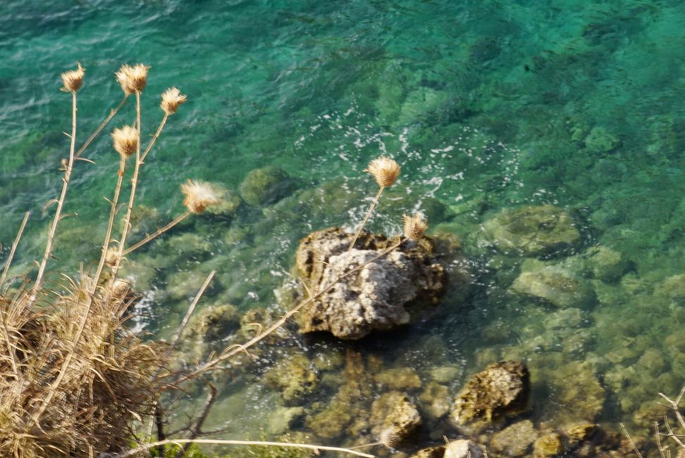 Afionas und Porto Timoni