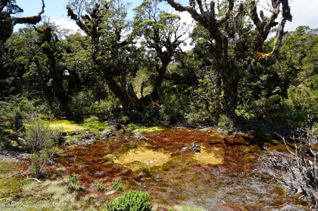 Sendero Key Summit 