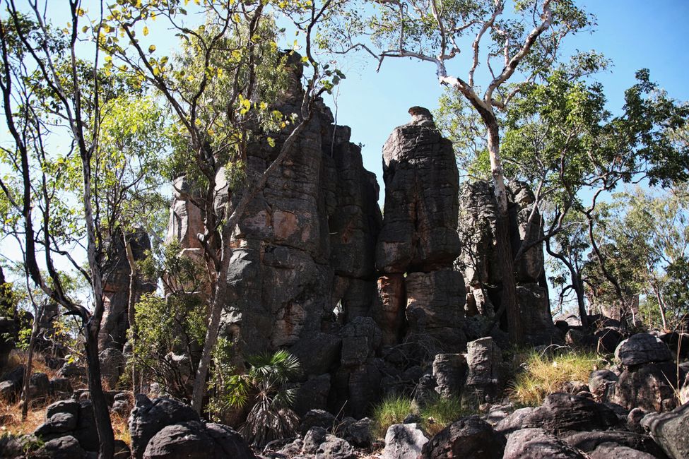 Day 28: Fun in the Litchfield National Park