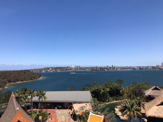 Taronga Zoo - normally you go there just because of the fantastic views.