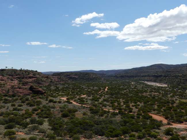 Tolle Sicht ins Palm Valley