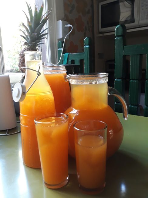 Homemade apricot juice