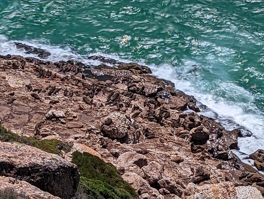 Plettenberg Bay/Robberg Nature Reserve