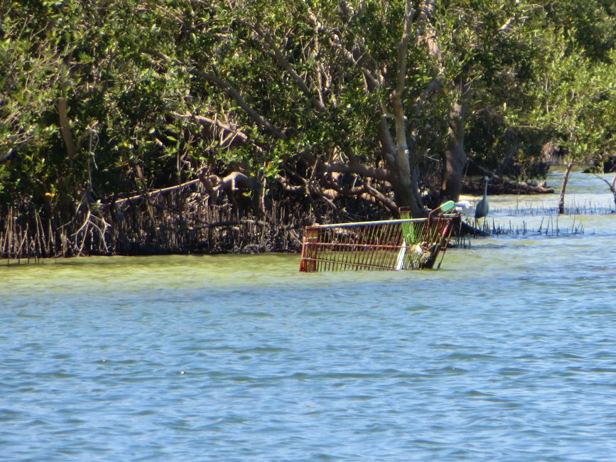 Eastern Mangroves NP