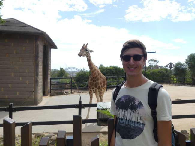 Andi with giraffe with a view