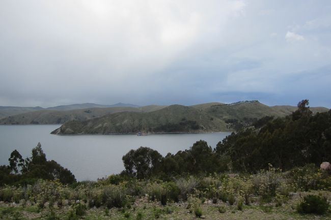 Die Vögelein, die Vögelein vom Titicacasee