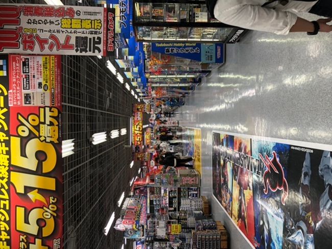 Yodobashi - Mediamarkt on a large scale