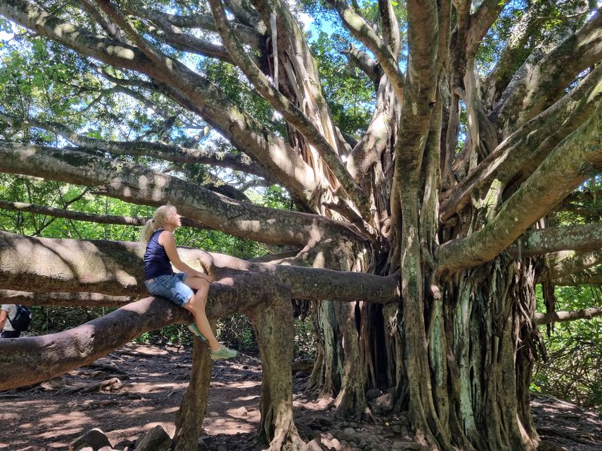 Hawaii 2022 - Part 3: Maui