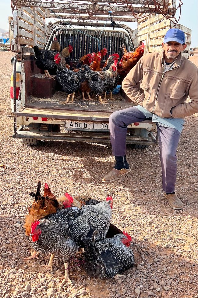 The chickens and roosters in the front are tied together by their legs. (Photo: Birgit)