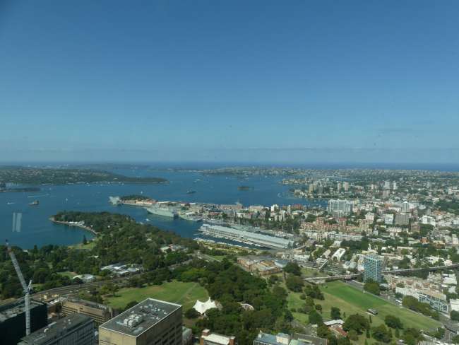 Blick auf den Sydney Harbour aus dem Sydney Tower