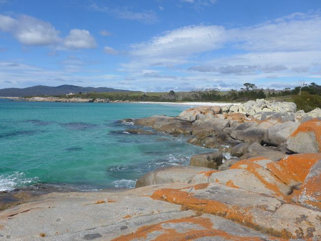 Tasmanian Devils and Coast - from Bicheno to St. Helens (Australia Part 17)
