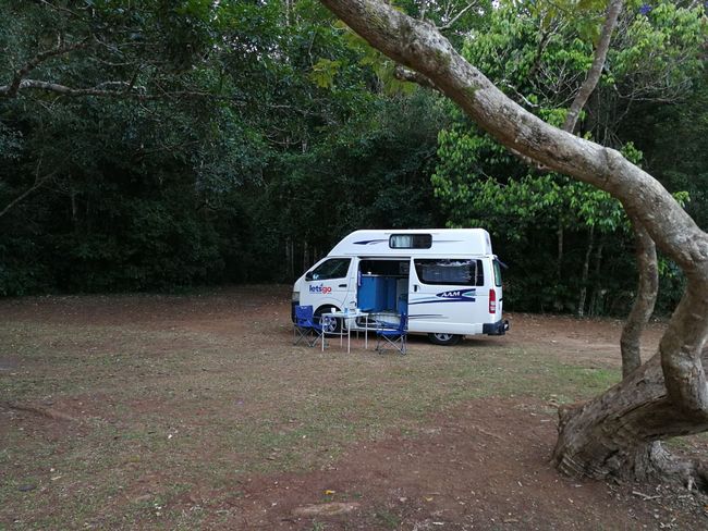 Our campervan at the rainforest, Malanda