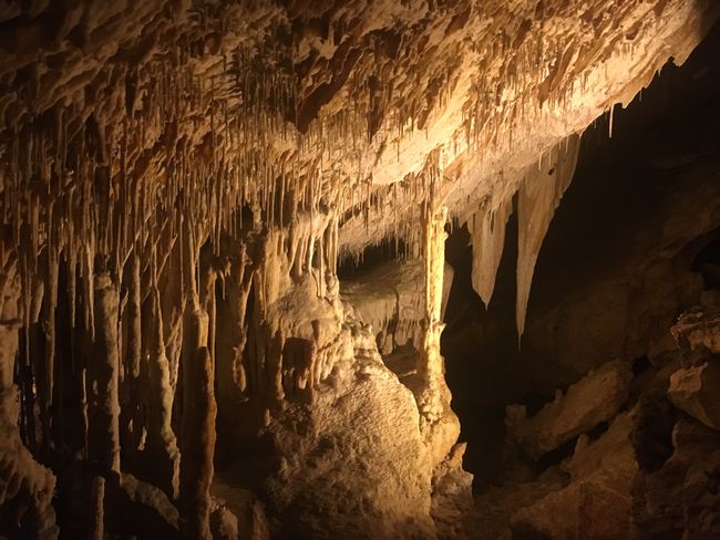 Tag 5: Cuevas del Drach & Puig de Sant Salvador