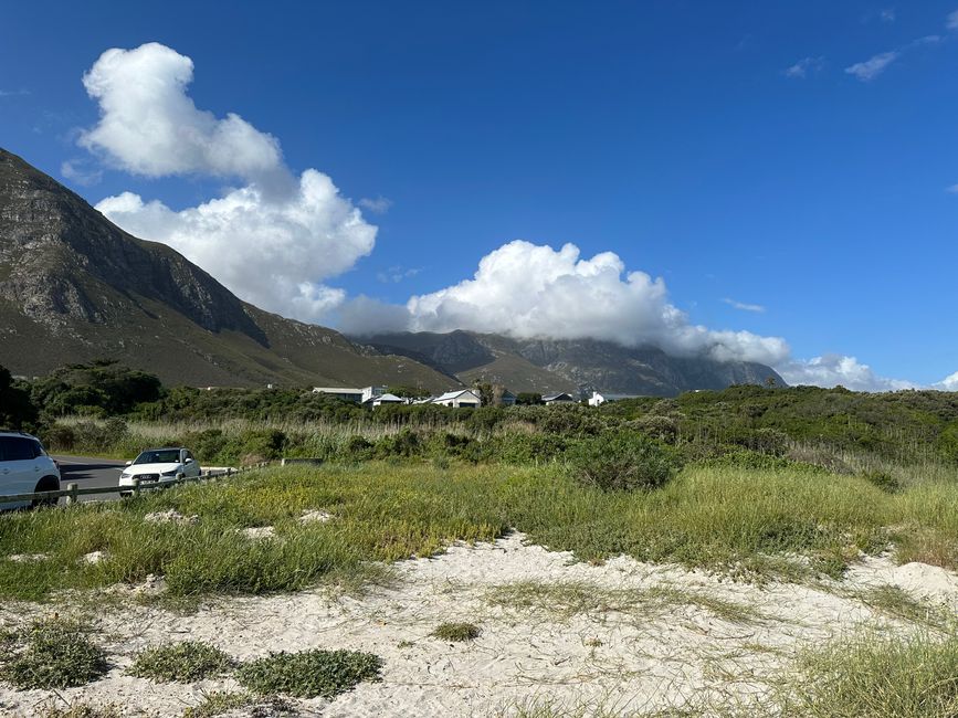 Hermanus ♥️