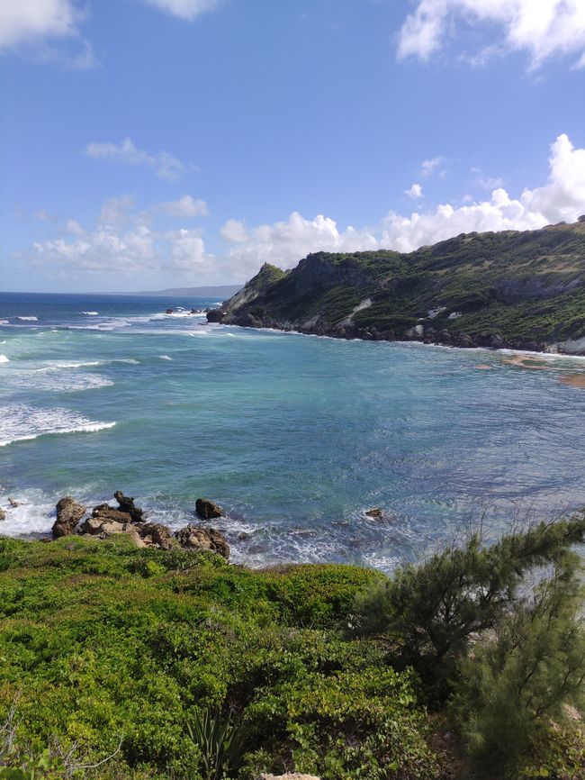 Second day in Barbados: St. Nicholas Abbey, CherryTree Hill, Beach