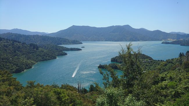 Queen Charlotte Track 