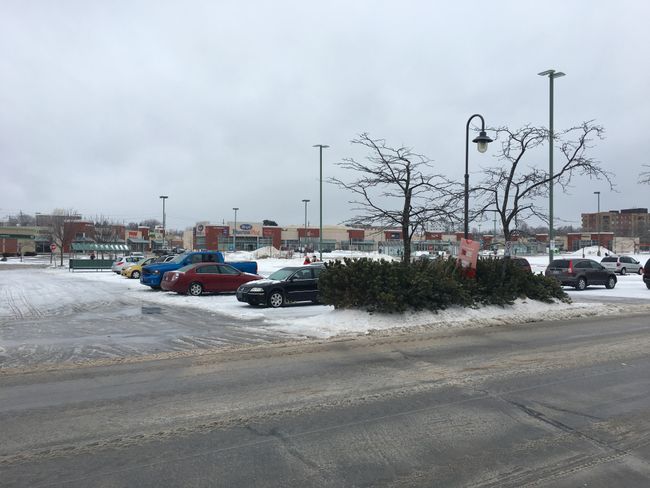 Snowfall, car rental, and supermarkets