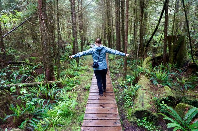 Kanada - Tag 7 (1) - Rainforest Trail bei Tofino