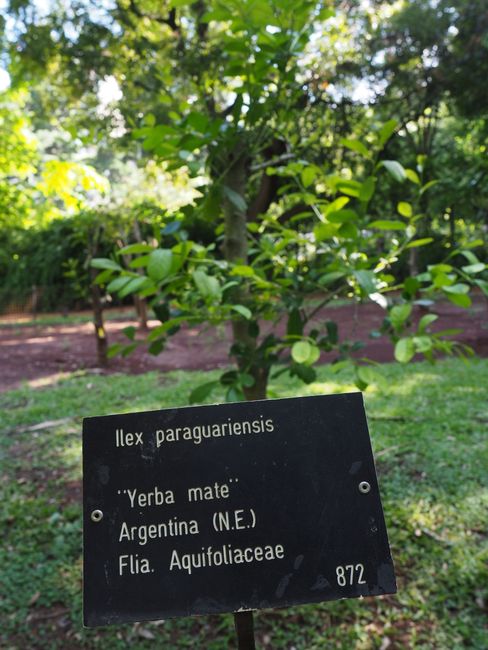 Botanical Garden - MATE