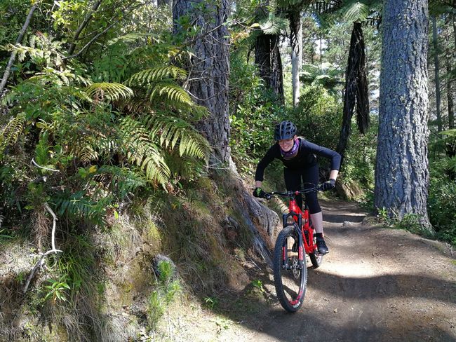 Day 74: Rotorua Biking