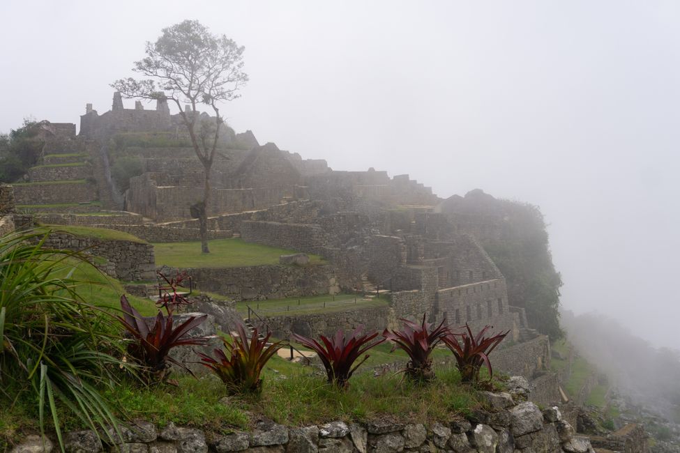 Tag 5: Endlich Machu Picchu!