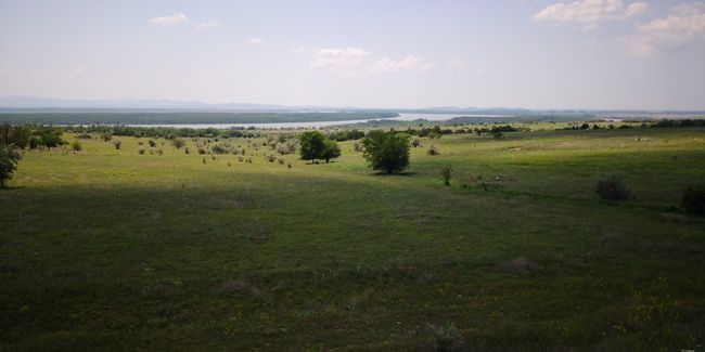 Blick ins Donaudelta 