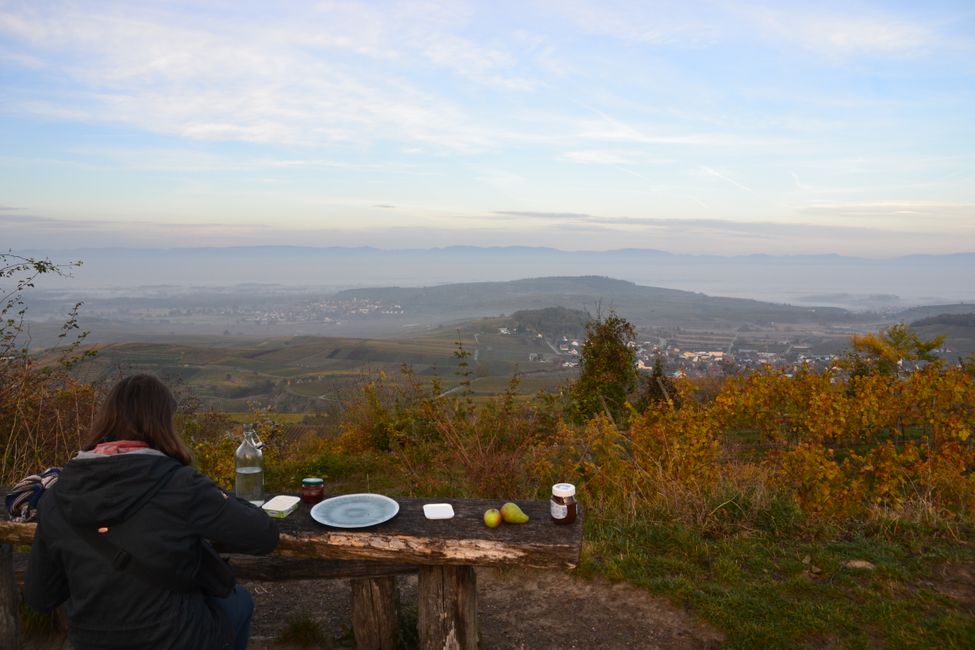 #11 Three hikes in one day - Kaiserstuhl wine region