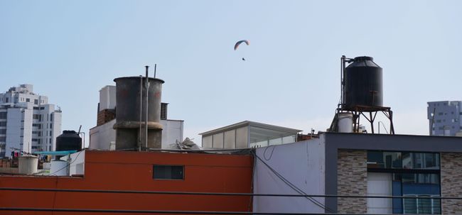 Paragliding über dem Großstadtdschungel