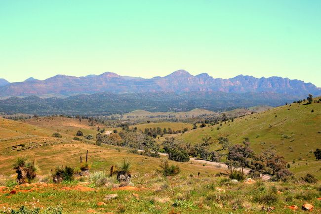 22.09.2016 Flinders Range National Park